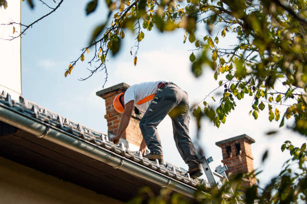 Best Roofing Contractor Near Me  in Mcarthur, OH