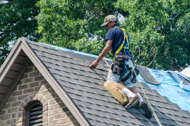 Best Storm Damage Roof Repair  in Mcarthur, OH